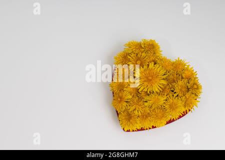 Fiori primaverili a forma di cuore. Foto Stock