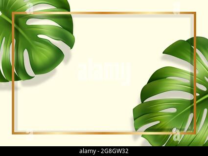 Banner esotico con foglie di monstera fresche. Illustrazione tropicale con luogo per il testo. Stile 3D realistico. Vettore. Illustrazione Vettoriale