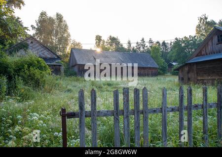 Vecchi, danneggiati, edifici agricoli in legno situati tra alberi verdi, su un prato. Foresta sullo sfondo, recinzione in legno in primo piano. Krasn Foto Stock