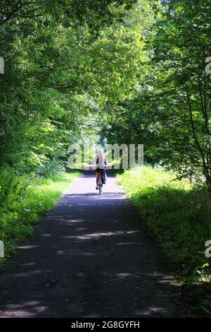 Vista su pista ciclabile piana rettilinea con un singolo ciclista femminile all'ombra degli alberi - Germania, tra Suchteln e Kempen (fuoco al centro) Foto Stock