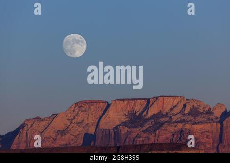 La luna piena che si erge sulle suggestive montagne del Parco Nazionale di Zion illuminata dal sole tramontante con un cielo limpido. Foto Stock