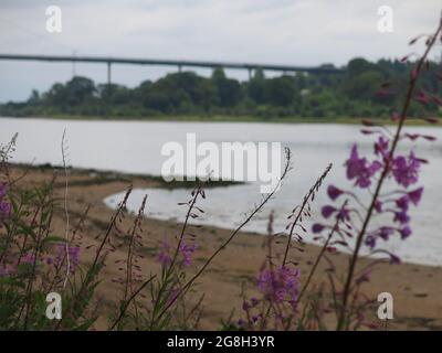 Inaugurato nel 1971, il ponte Erskine attraversa il fiume Clyde & Forth & Clyde Canal, ed è un esempio di 15 span di un ponte sospeso a trave. Foto Stock