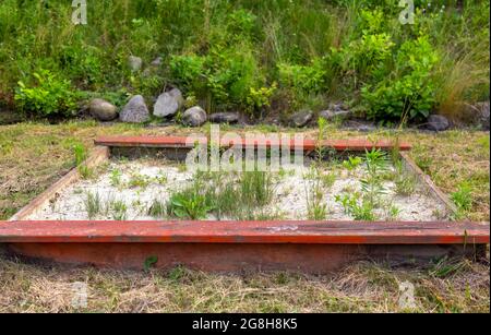 Overgrown con erbacce, vecchio sandbox rosso rotto per bambini, parco giochi, Foto Stock