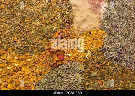 Set di spezie aromatiche di pesce. Condimenti per il timo, il pepe, la curcuma, il coriandolo, il dragoncello, aglio. Vista dall'alto. Foto Stock