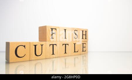 Il nome Cuttlefish è stato creato da cubetti di lettere di legno. Frutti di mare e cibo. Primo piano. Foto Stock