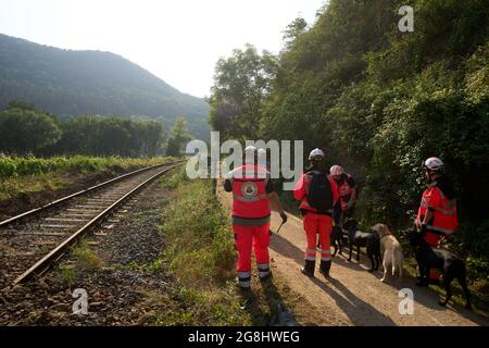 Rech, Germania. 20 luglio 2021. I gestori di cani cercano le persone scomparse vicino al villaggio dopo l'alluvione. Credit: Thomas Frey/dpa/Alamy Live News Foto Stock