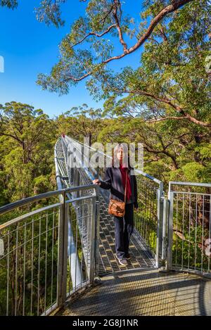 Una singola donna turistica si trova su un ponte di sospensione in metallo come parte della passeggiata a baldacchino in cima all'albero nel Walpole Nornalup National Park, Australia Occidentale. Foto Stock