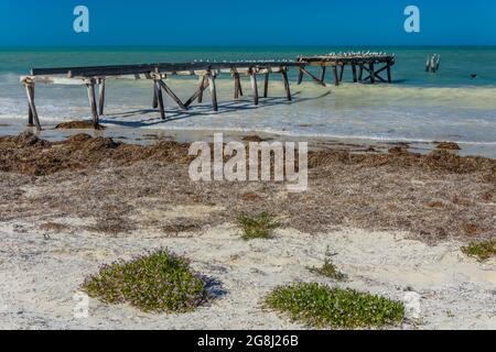 Il molo abbandonato sul capo spiaggia della vecchia stazione di telegrafia Eucla lungo la costa di Nullarbor dell'Australia Occidentale. Foto Stock