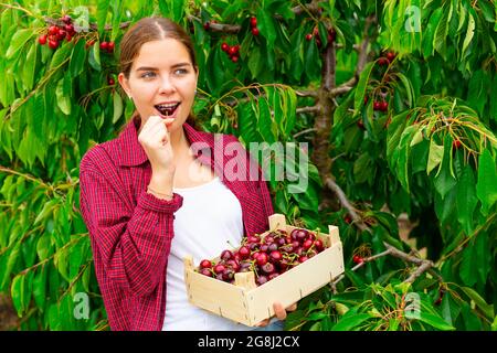 Ragazza allegra gustando ciliegia dolce in giardino fattoria Foto Stock