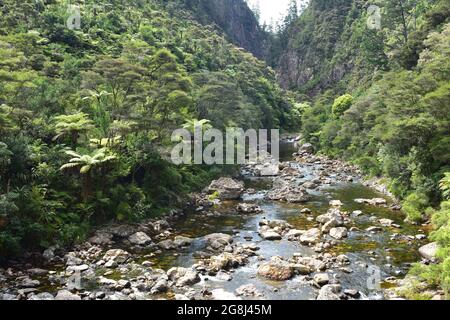 Waitawheta River con molti massi in shallows che scorrono attraverso una stretta gola che si apre nella valle con macchia nativa. Foto Stock