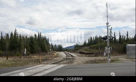 Treno attraverso la pineta che attraversa un'autostrada in una giornata buia Foto Stock