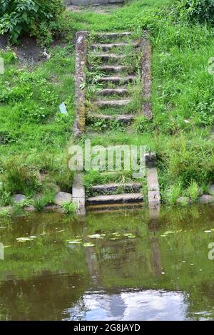 I vecchi scalini, con l'erba, conducono al fiume. Estate. Foto Stock