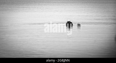 CARDENAS, CUBA - 08 giugno 2021: Un colpo panoramico in scala di grigi di un pescatore che cerca la sua esca nell'acqua di Cuba Foto Stock