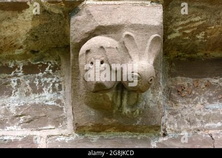 Scultura in pietra di Hound e Lepre Santa Maria e Chiesa di San Davide Kilpeck Herefordshire Inghilterra UK Foto Stock
