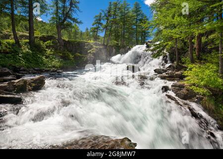 Cascata Fontcouverte nella Valle di Caree circondata da larici in estate. Vallée de la Caree, Hautes-Alpes (Massiccio dei Cerces), Alpi, Francia Foto Stock