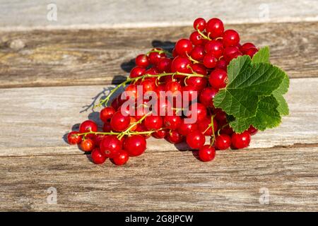 Bacche di ribes rosso mature su sfondo di legno in luce naturale in una giornata estiva soleggiata Foto Stock