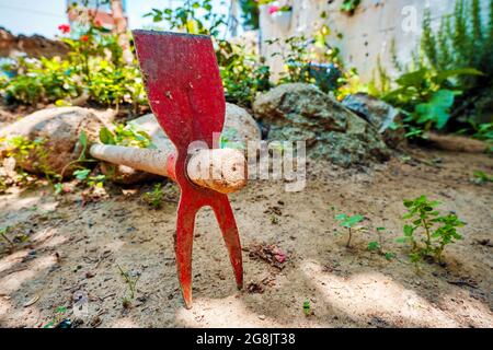 Zappa a mano doppia o doppia con manico in legno per il giardinaggio in giardino Foto Stock