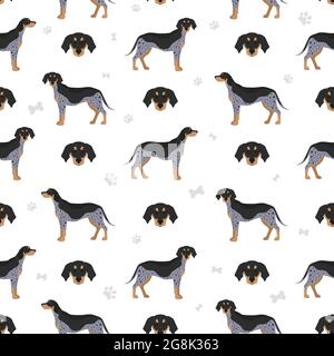 Bluetick coonhound modello senza cuciture. Diversi colori del cappotto e set di pose. Illustrazione vettoriale Illustrazione Vettoriale