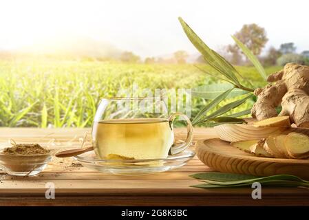 Infusione di zenzero organico su tavola di legno nel campo con radice zenzero polvere, foglie, paglia e terreno. Vista frontale. Foto Stock