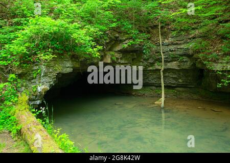 Ingresso alle Twin Caves, Spring Mill state Park, Indiana Foto Stock