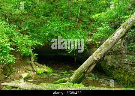 Ingresso alle Twin Caves, Spring Mill state Park, Indiana Foto Stock