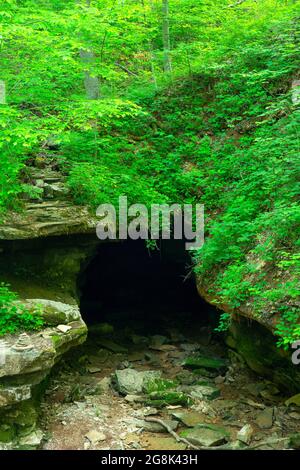 Ingresso alle Twin Caves, Spring Mill state Park, Indiana Foto Stock