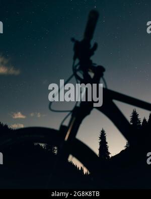 Silhouette di mountain bike e abeti contro cielo notturno con stelle Foto Stock