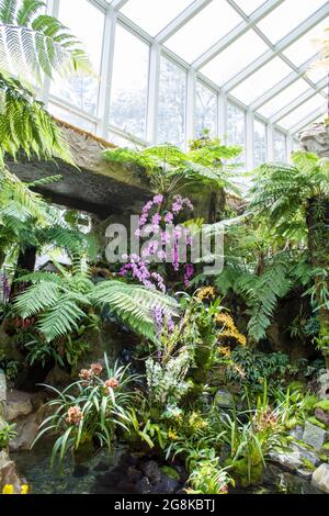 La Sembcorp Cool House nel Giardino Botanico nazionale delle Orchidee di Singapore attira i visitatori con la sua aria fresca, la nebbia e la cascata. Foto Stock