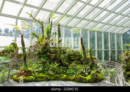 La Sembcorp Cool House nel Giardino Botanico nazionale delle Orchidee di Singapore attira i visitatori con la sua aria fresca, la nebbia e la cascata. Foto Stock