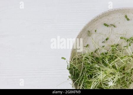 Coltivare i micrograni a casa. Fresco germogli di lino piatto moderno su sfondo di legno bianco, vista dall'alto con spazio copia. Germogli di lino o di lino, micro verde Foto Stock