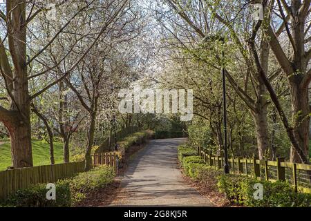 Ingresso al parco in primavera, passerella e recinzioni sui lati. Foto Stock