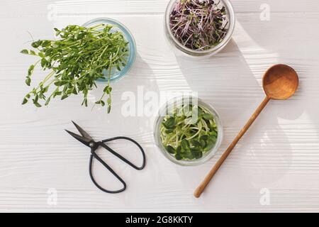 Vasetti di vetro con cavolo rosso fresco, ravanello rosso, girasoli, germogli di piselli verdi e cucchiaio elegante, forbici su legno bianco, vista dall'alto. Microgree diverse Foto Stock