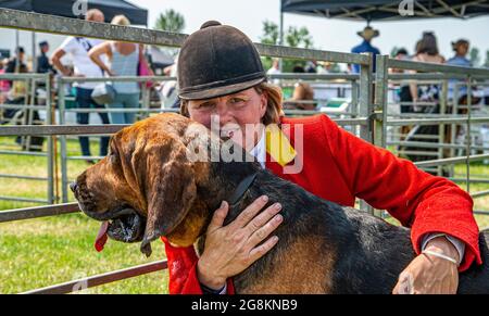 Festival della caccia, Peterborough, Inghilterra, Regno Unito. 21 luglio 2021. Quest’anno il Festival of Hunting, in uno dei giorni più caldi di allora yaer, ha ospitato il 133esimo Peterborough Royal Foxhound Show, che ha anche celebrato Beagles, Harriers, Basset Hounds, Draghounds e Bloodhounds, rendendolo uno dei più grandi spettacoli di hounds in tutto il mondo. Qui LISA GODDARD con uno dei Cranwell Bloodhounds Credit: Matt arto OBE/Alamy Live News Foto Stock