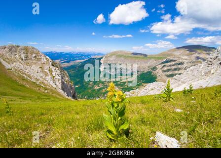 Monte Bove in Usssita (Italia) - la cima paesaggistica del Monte Bove, nord e sud, nelle Marche, provincia di Macerata. Appennini, a Monti Sibillini Foto Stock