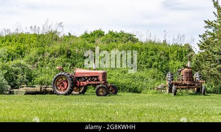 Coppia di vecchi trattori agricoli Farmall seduti sul bordo di un campo Foto Stock