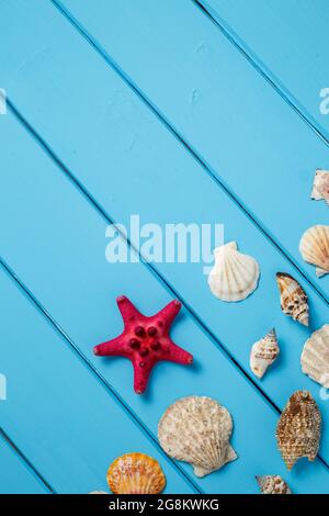 Estate sfondo , conchiglie blu su sfondo di legno , conchiglie su fondo azzurro Foto Stock