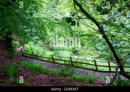 Una ripida discesa sul sentiero Osaa's Dyke, sotto gli Hudnalls, Gloucestershire, Regno Unito. Foto Stock