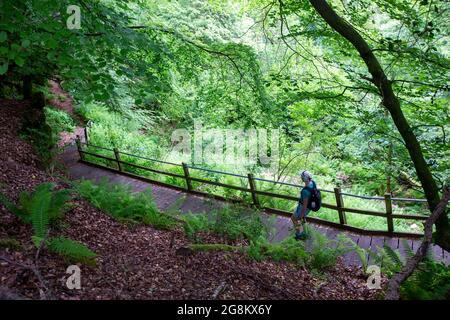 Una ripida discesa sul sentiero Osaa's Dyke, sotto gli Hudnalls, Gloucestershire, Regno Unito. Foto Stock