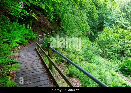 Una ripida discesa sul sentiero Osaa's Dyke, sotto gli Hudnalls, Gloucestershire, Regno Unito. Foto Stock