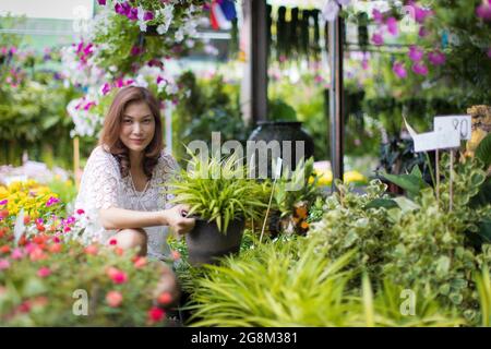 Bella donna asiatica che seleziona il fiore in negozio floreale, stile di vita di casalinga moderna. Foto Stock