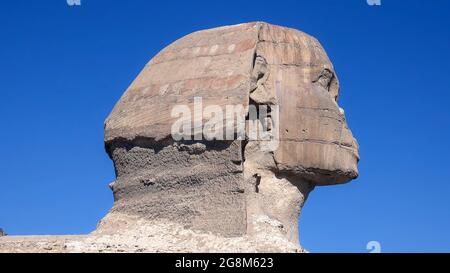 La Grande Sfinge di Giza, è una statua calcarea di una sfinge reclinata, una creatura mitica. Sorge sull'altopiano di Giza, sulla riva occidentale del Nilo Foto Stock