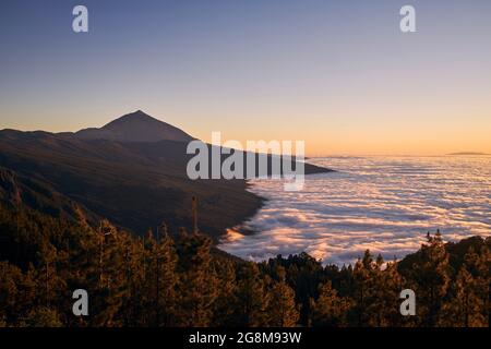 Paesaggio con il vulcano Pico de Teide sopra le nuvole a bellissimo crepuscolo. Tenerife, Isole Canarie, Spagna. Foto Stock