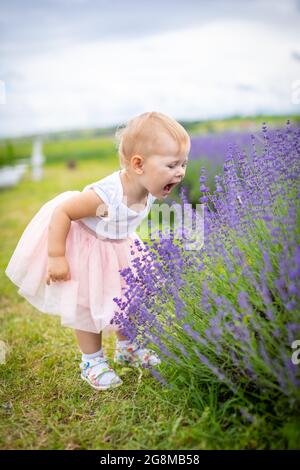 Bambina sorridente in abito rosa in un campo di lavanda, repubblica Ceca Foto Stock