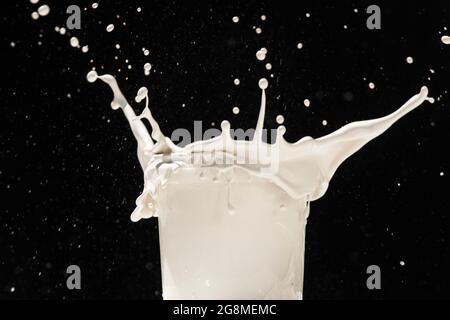 Spruzzi di vernice da una lattata. Vernice bianca che fuoriesce dalla lattina di plastica su sfondo nero Foto Stock