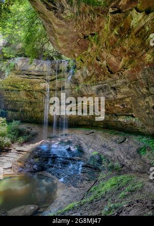 Northrup Falls, nella zona naturale statale di Colditz Cove, vicino a Jamestown, Tennessee. Foto Stock