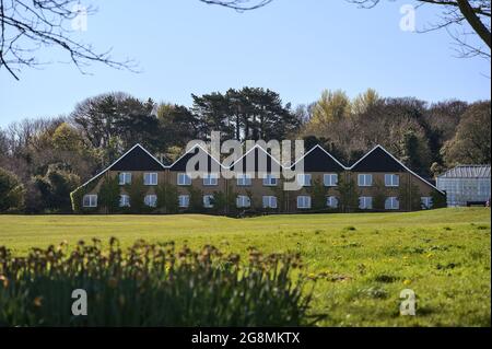 Bella vista di casa lunga con motivi nel tetto e finestre visto tra rami di alberi e narcisi primavera e campo da golf a Howth, Dublino, Irlanda Foto Stock