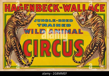 Poster del Circus d'epoca: Hagenbeck-Wallace 'Jungle-bred addestrato circo animale selvaggio'. Due tigri selvagge su ogni lato. Foto Stock