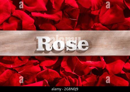 Parola rosa in lettere di legno su sfondo rosso rosa petali Foto Stock