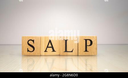 Il nome Salp è stato creato da cubi di legno lettera. Creature marine e cibo. Foto Stock