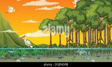 Gli animali vivono nella foresta di Mangrove al tramonto illustrazione della scena Illustrazione Vettoriale